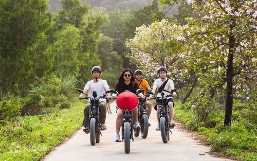 Half-Day & Easy Tours